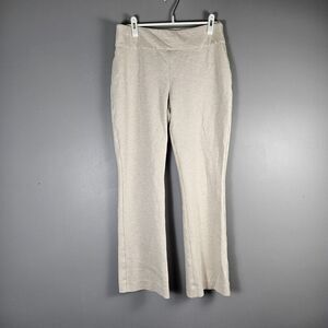Express Columnist High Waisted Knit Pull-On Bootcut Pant Womens Size Medium